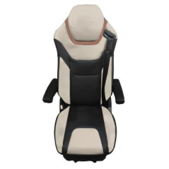 Asiento del conductor de piezas de camión .jpg Truck Parts Driver Seat .jpg