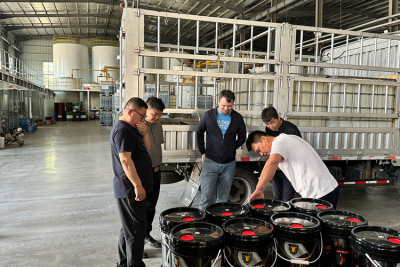 Introducción del producto