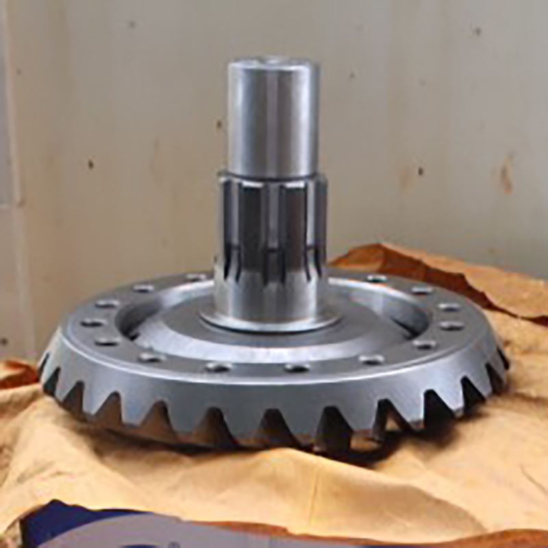 Driven Bevel Gear